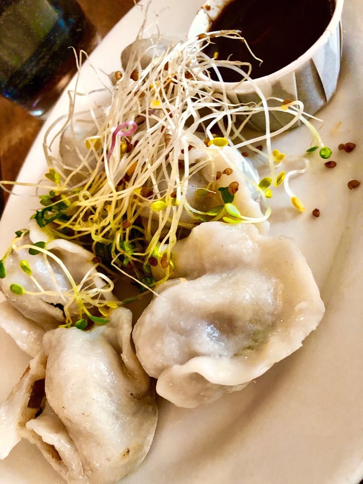 photo of Peacefood Pan-seared Shanghai Style Dumplings shared by @vegan-treehugger on  16 Jul 2019 - review