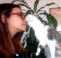 veggienabogota @veggienabogota profile image
