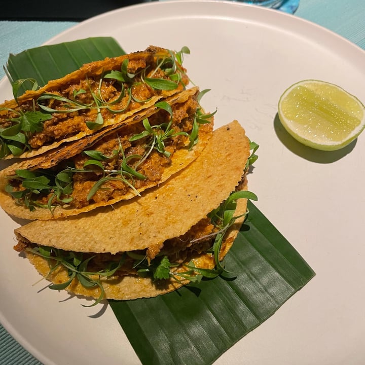 photo of Analogue Jackfruit Tacos shared by @mybellyfats on  28 Feb 2022 - review