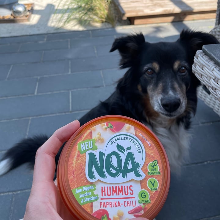 photo of Noa Hummus Paprika-Chili shared by @holly808 on  11 Jun 2021 - review
