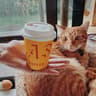 Flash Coffee