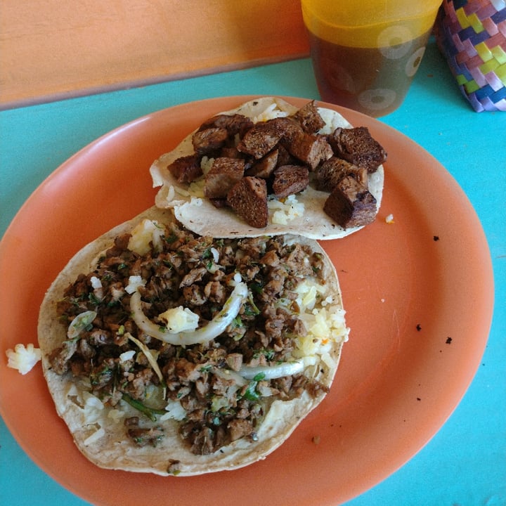 photo of Tacotlan Vegano Tacos Veganos shared by @zurisadaimeza on  29 May 2022 - review