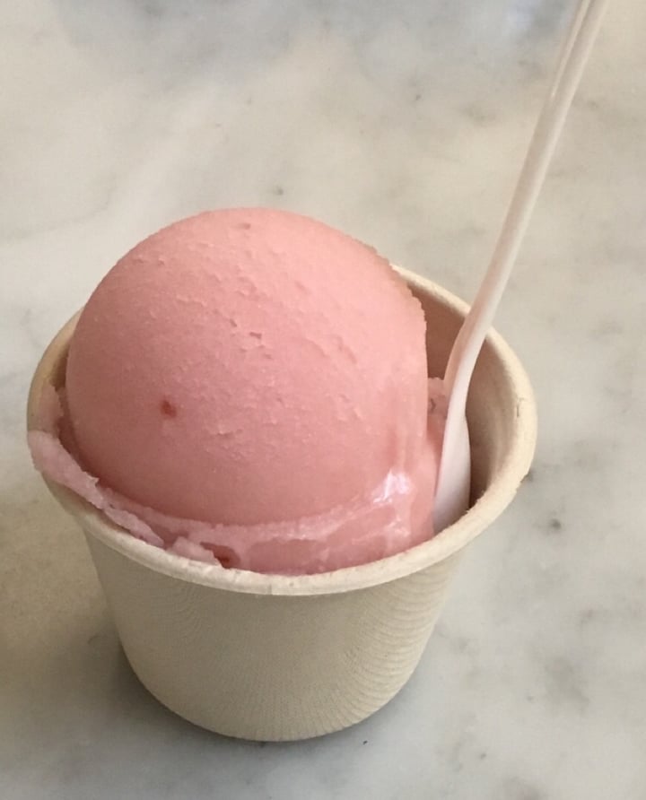 photo of Lala's Creamery Raspberry Lemonade Sorbet shared by @jaybuh on  18 Jul 2019 - review