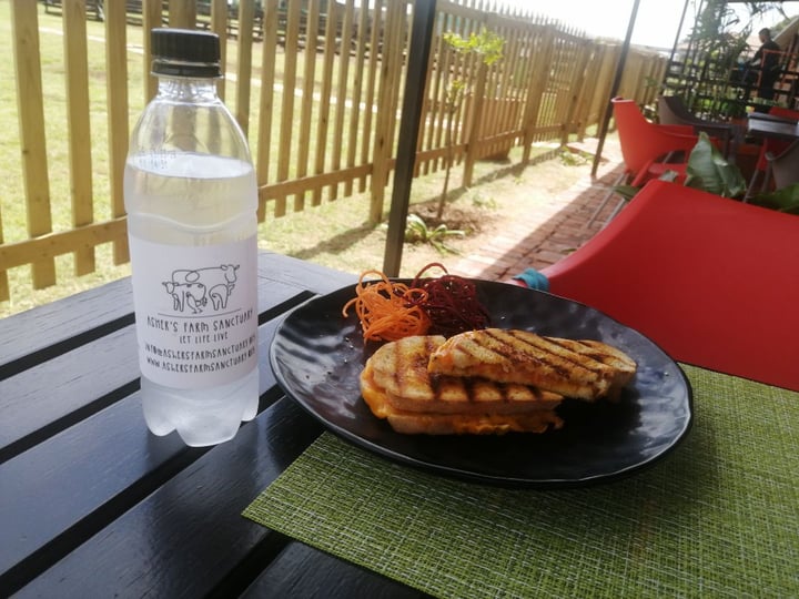 photo of Asher's Corner Cafe @ Ashers Farm Sanctuary Toasted Cheese with Added Tomato and Onion shared by @enrikosg on  08 Mar 2020 - review