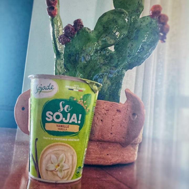 photo of Sojade So Soja! Vanilla Yogurt alternative 400g shared by @federicathewitch on  04 Aug 2022 - review