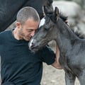 simonescampoli @simonescampoli profile image