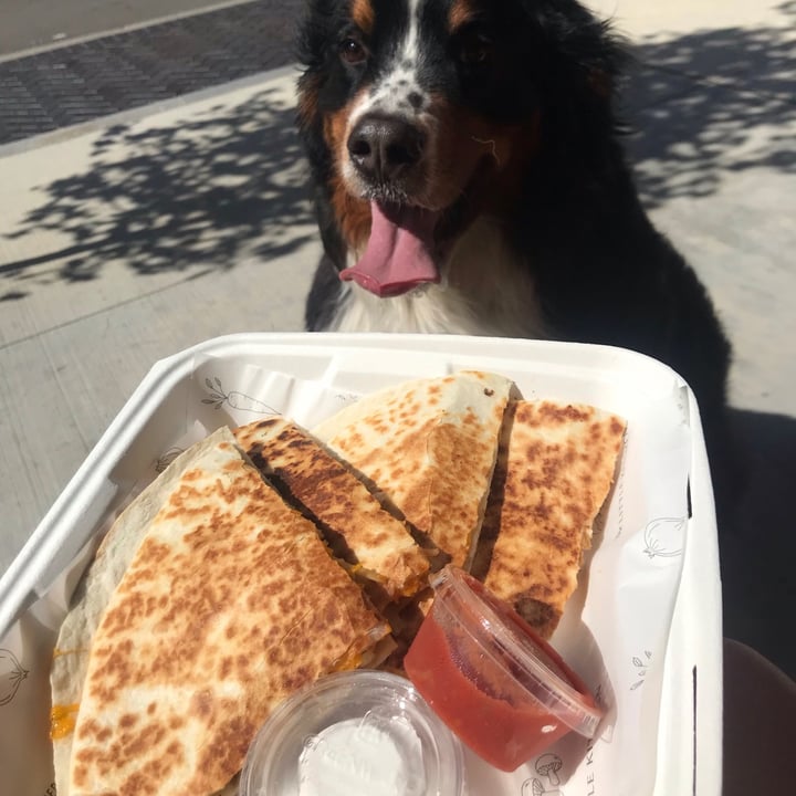 photo of The Little Kitchen BBQ Chicken Quesadilla shared by @rachelsveganlife on  28 Sep 2021 - review