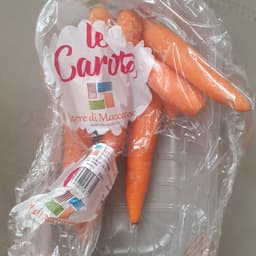 terre di maccarese