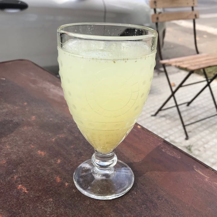 photo of Cosecha Limonada con menta y jengibre shared by @sechague on  18 May 2021 - review