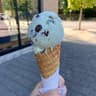 Rocky Point Ice Cream