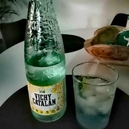 Vichy Catalan