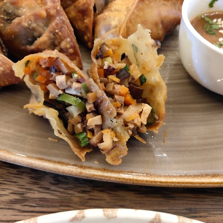 photo of Sprout Plant Based Fusion Gyoza Gloriosa shared by @stevenneoh on  17 Dec 2020 - review