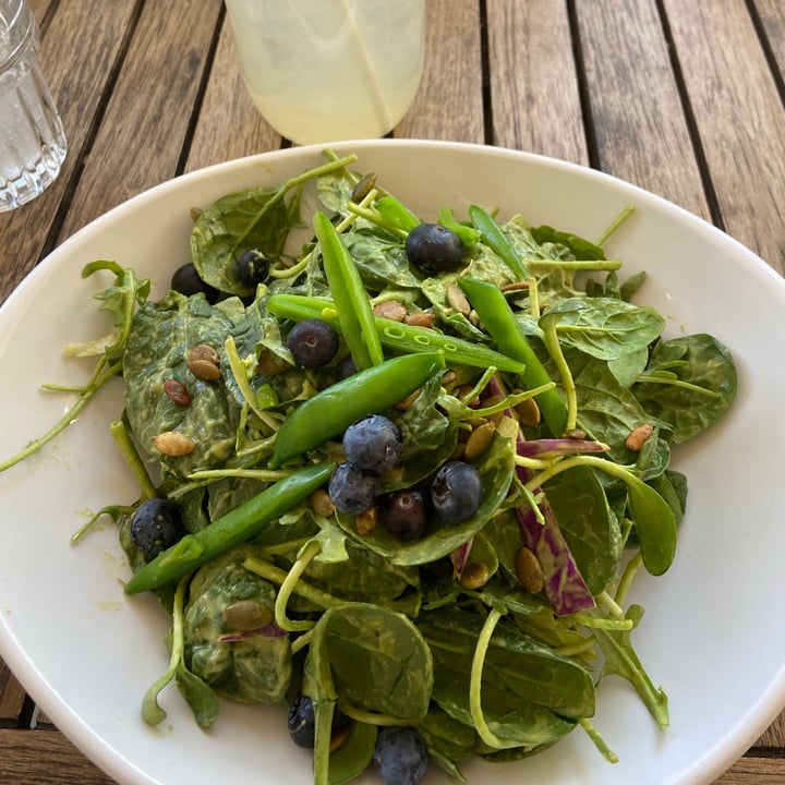 photo of Harvest Pizzeria Mean green salad shared by @vfct on  19 Apr 2021 - review