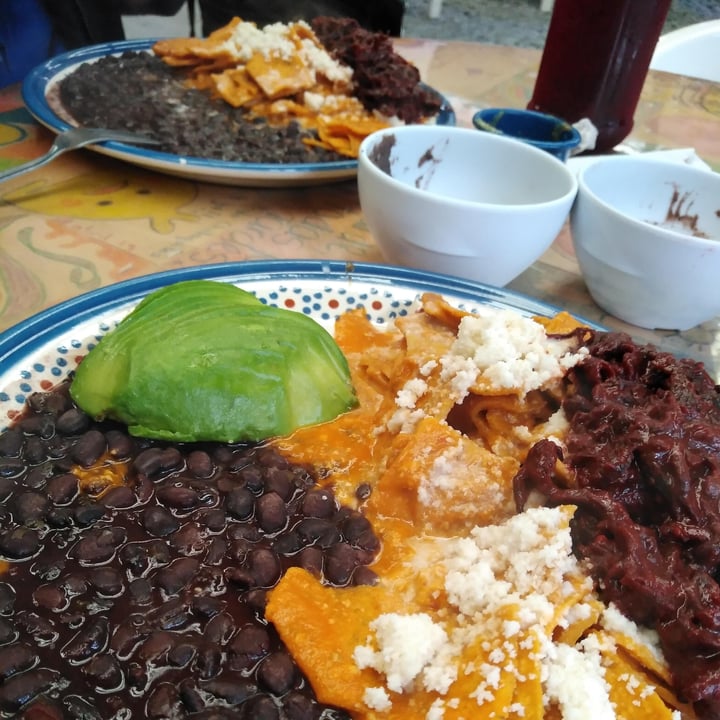 review photo of Frida Chilaquiles Chilaquiles Veganos shared by @selrmoon on 12 Mar 2022 - review