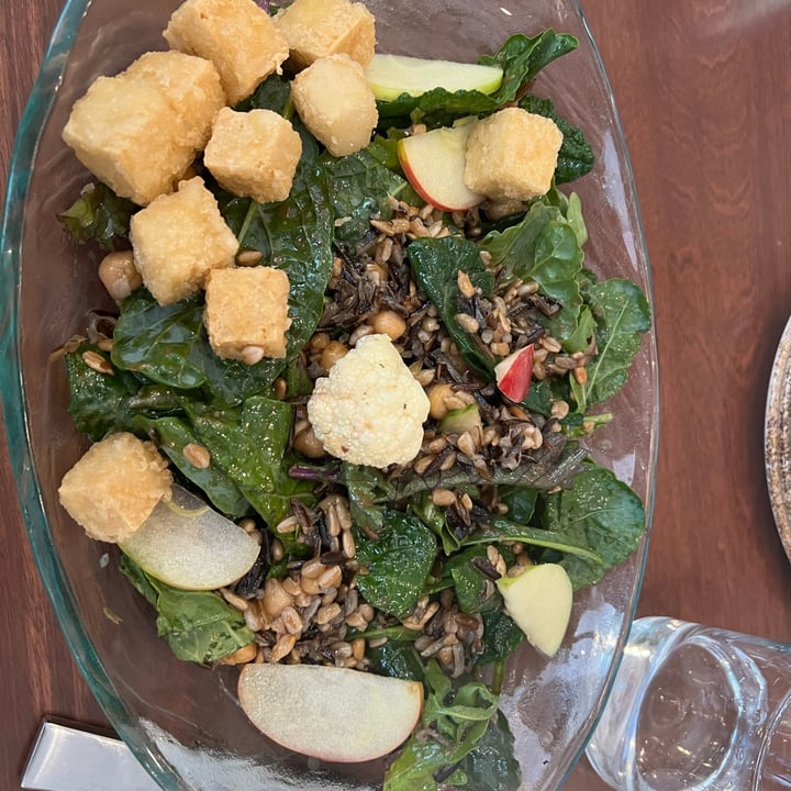 photo of noa Minneapolis Grain salad shared by @annettej on  08 Jun 2022 - review