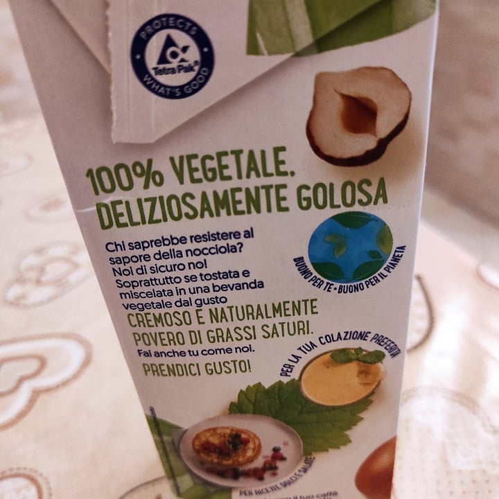 photo of Alpro Alpro nocciola shared by @esterrome on  01 Apr 2022 - review