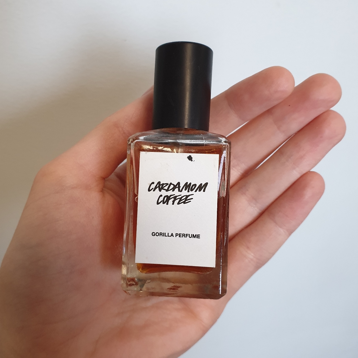 Lush cardamom coffee perfume 2025