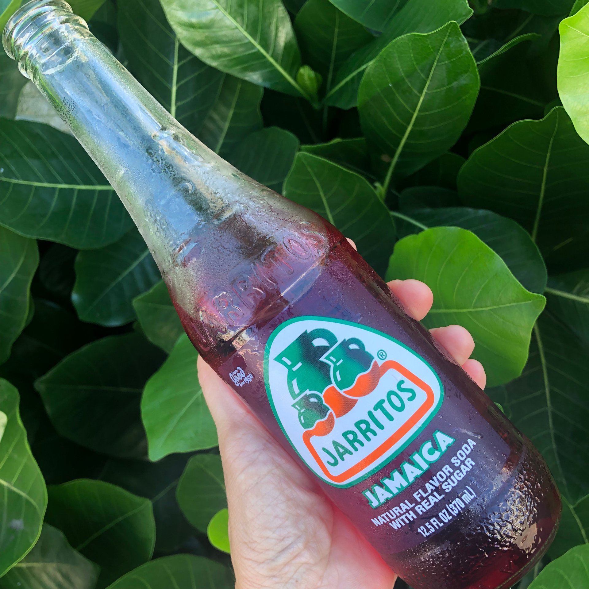 Jarritos Jamaica soda Reviews abillion