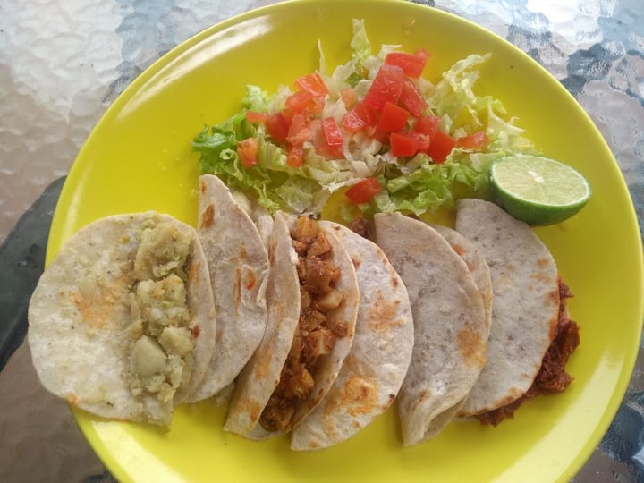 photo of MetaSalud Tienda Vegana Naturista Tacos shared by @akgonzd on  28 Jan 2020 - review