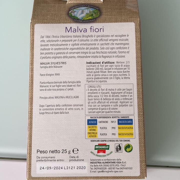 photo of Brisighello Malva fiori shared by @virgiveg on  14 Mar 2022 - review