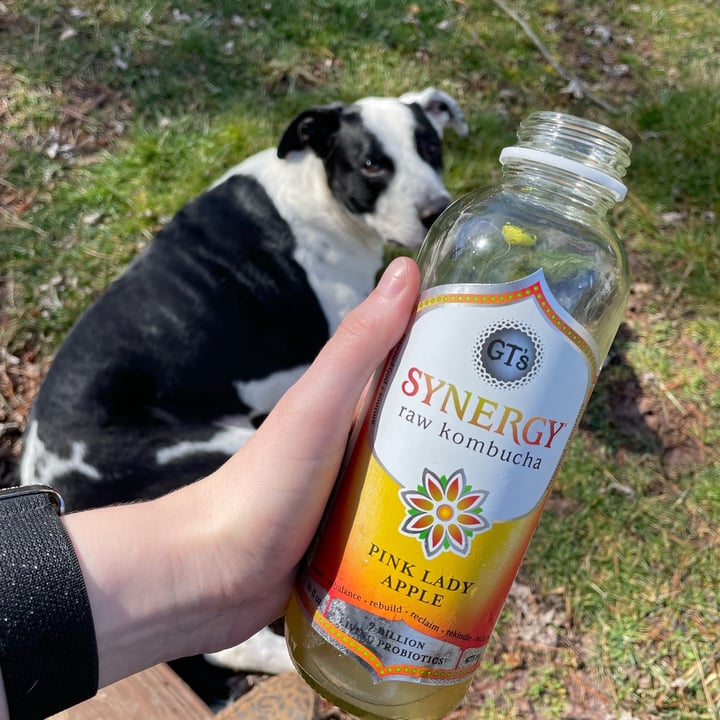 photo of GT’s Living Foods Pink lady apple kombucha shared by @naturallyally on  01 Mar 2022 - review