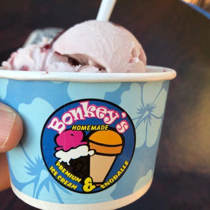 photo of Bonkey's Ice Cream & Snoballs Vegan Wild berry  ice cream shared by @allycat38 on  15 Jun 2022 - review