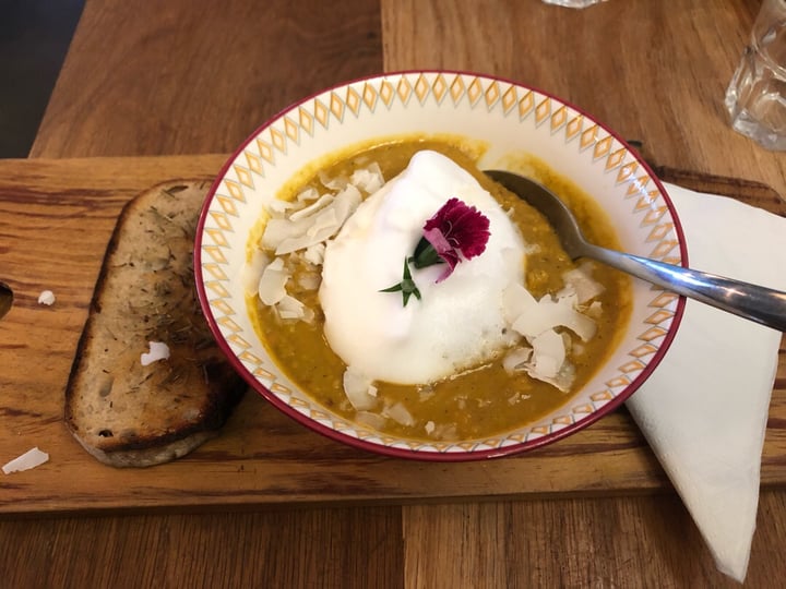 review photo of Scheckter's RAW Gourmet Lentil Soup shared by @carmykatz on 07 Jul 2019 - review