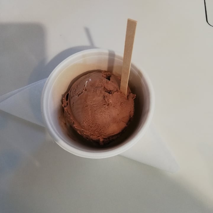 photo of Unframed Ice Cream Salted Chocolate shared by @udeshs on  23 Feb 2022 - review