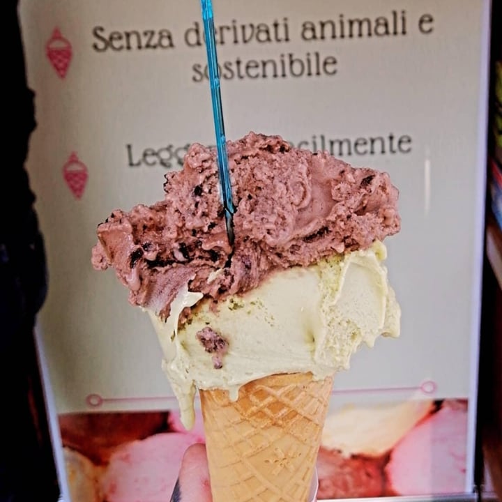 photo of Ratatouille Vegan Food Gelato shared by @manuzen on  01 Jun 2021 - review