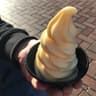 Disneyland Park