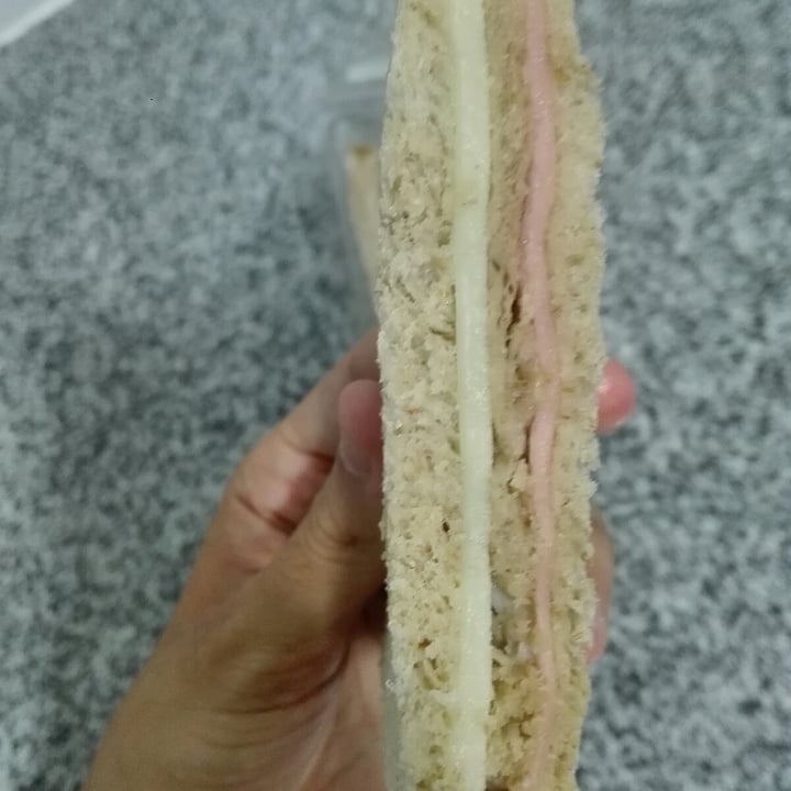 review photo of Futuro Veggie - Congreso Sanguches de Miga de Jamón y Queso shared by @compasionveganaarg on 28 Jan 2021 - review