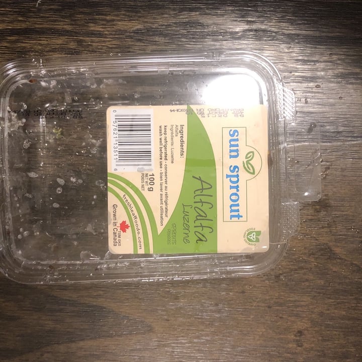 review photo of Sun sprout alfalpha shared by @abarrow33 on 02 Dec 2022 - review