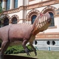 lucythewombat @lucythewombat profile image