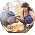 foxleaf @foxleaf profile image