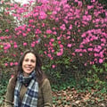 renatarocha @renatarocha profile image