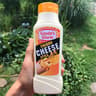 Gouda's Glorie