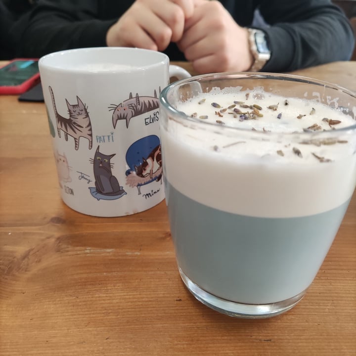 photo of Crazy Cat Café lavander milk shared by @jessiveneziani on  11 Feb 2022 - review