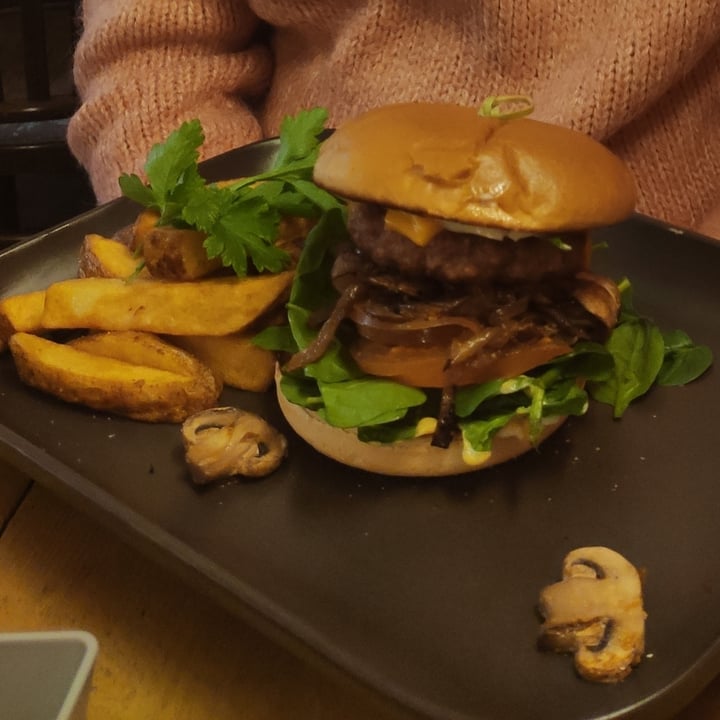 photo of Seeds For The Soul Ltd Vegan Beyond seeds burger shared by @arualz on  11 Mar 2022 - review
