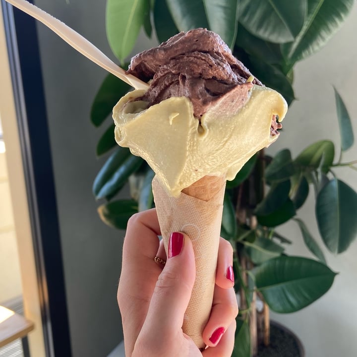 photo of Puro & Bio Quinto di Treviso Gelato Al Brownie Vegan shared by @giadaalnaturale on  21 Aug 2022 - review