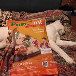 Pinsami