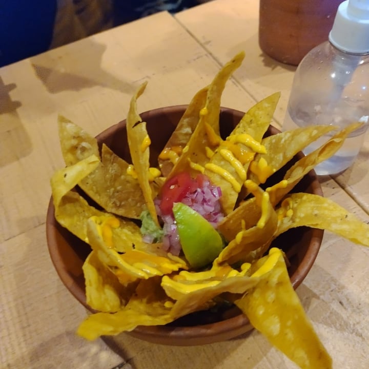 photo of Oleada Plant Based Guacamole Y Totopos shared by @juanandol on  25 Jan 2022 - review