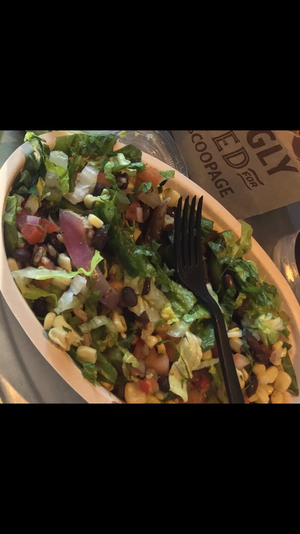 photo of Chipotle Mexican Grill Veggie Bowl shared by @akhazeni on  21 Apr 2020 - review