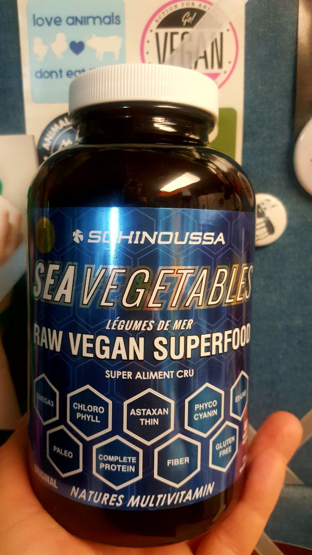 The Big Carrot Danforth Community Market Schinoussa sea vegetables