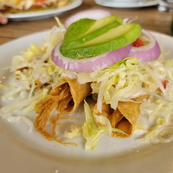 photo of Giornale Pedregal Tacos dorados con deshebrada vegana y crema vegana shared by @sofiaolea on  08 Oct 2022 - review