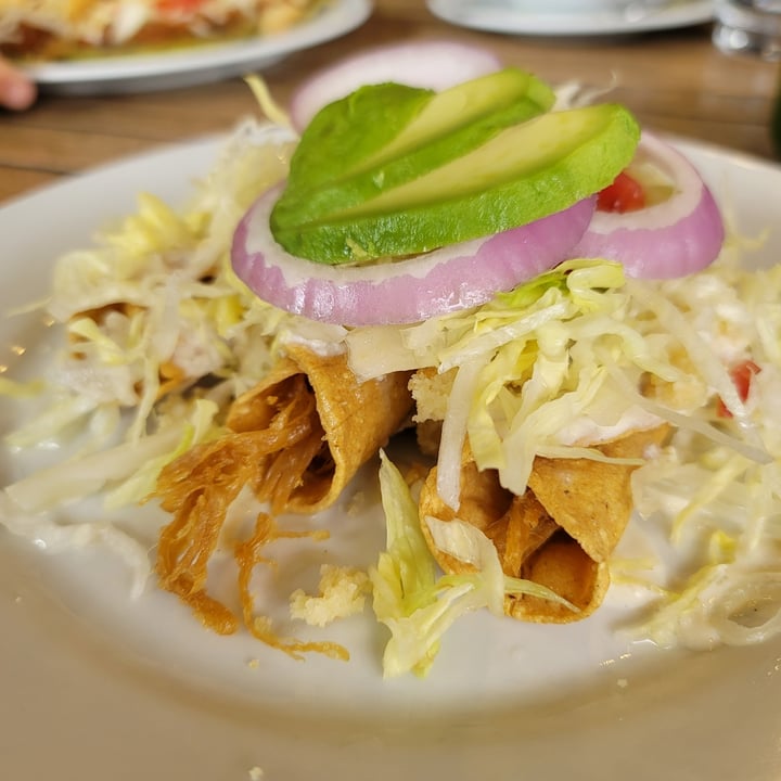review photo of Giornale Pedregal Tacos dorados con deshebrada vegana y crema vegana shared by @sofiaolea on 08 Oct 2022 - review