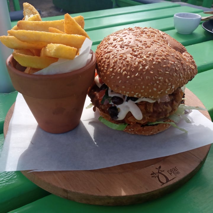 photo of Pear Tree Bistro Seitan chicken burger shared by @fruitfulfig on  28 Aug 2020 - review