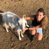 Nicole vegan blogger