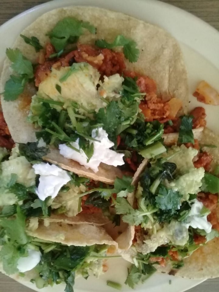 review photo of Healthy Evolution Carne al Pastor shared by @beesunshine on 03 Dec 2019 - review