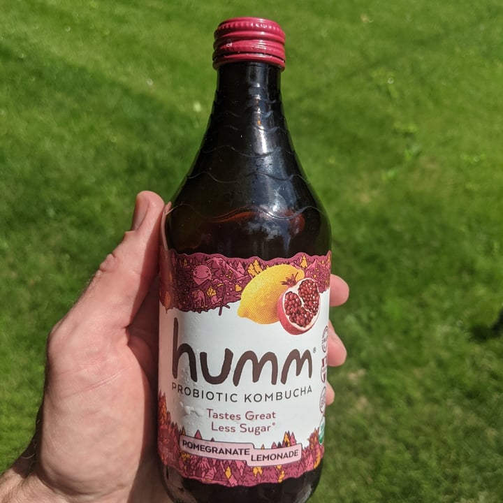 review photo of Humm Kombucha Pomegranate Lemonade Kombucha shared by @mikewestcott on 13 Jun 2021 - review