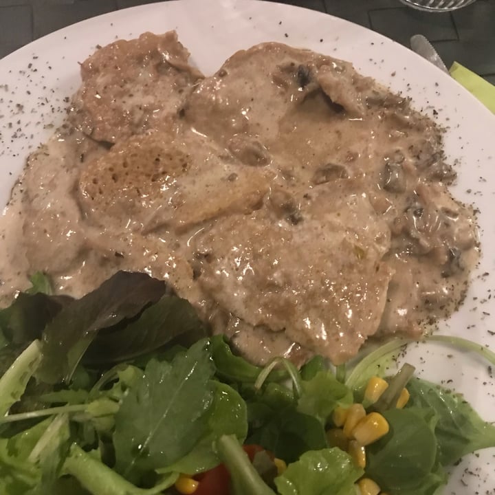 photo of Nirvana Ristorante Firenze filetto di seitan shared by @cibosanoebuono on  09 Oct 2022 - review